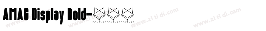 AMAG Display Bold字体转换